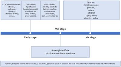 The smell of death. State-of-the-art and future research directions